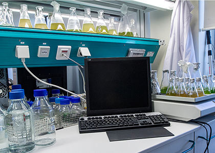 Plant Biotechnology Lab
