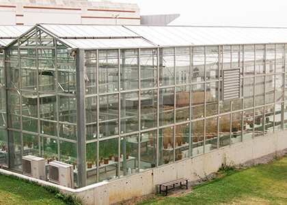 Experimental Greenhouse