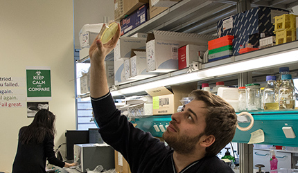 Microscope Room 1