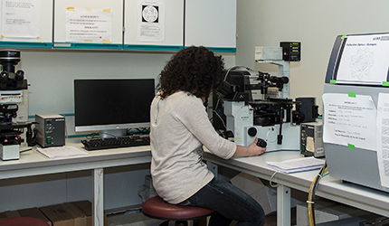 Microscope Room 2