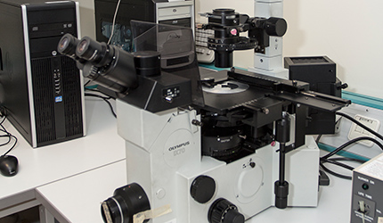 Microscope Room 3
