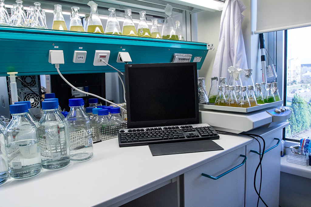 Plant Biotechnology Lab Molecular Biology, and Bioengineering