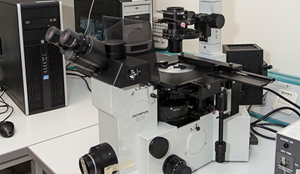 Olympus IX70 Fluorescent Microscope