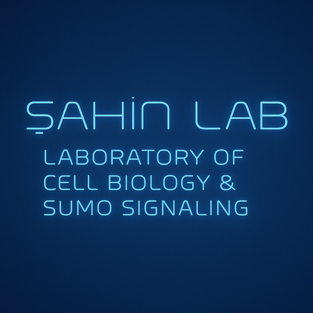 Şahin Lab – Laboratory of Cell Biology and SUMO Signaling